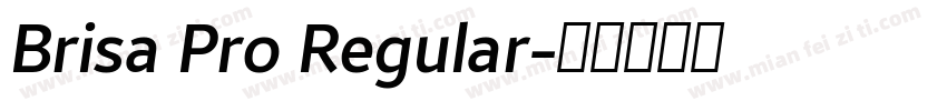Brisa Pro Regular字体转换